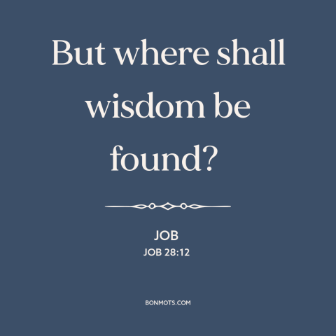 A quote from The Bible about seeking wisdom: “But where shall wisdom be found?”