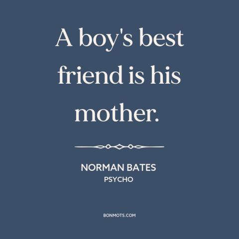 A quote from Psycho about mothers and sons: “A boy's best friend is his mother.”