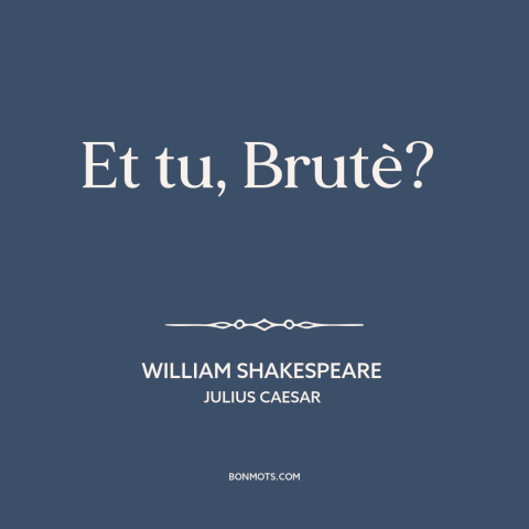 A quote by William Shakespeare about betrayal: “Et tu, Brutè?”