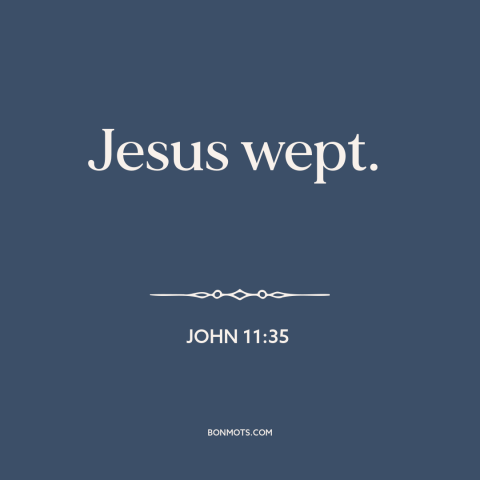 A quote from The Bible about crying: “Jesus wept.”