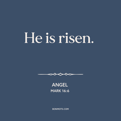 A quote from The Bible about jesus's resurrection: “He is risen.”