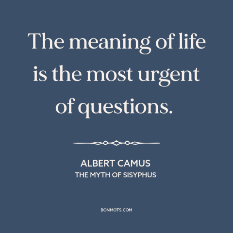 A quote by Albert Camus about meaning of life: “The meaning of life is the most urgent of questions.”