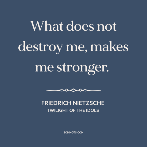 A quote by Friedrich Nietzsche about resilience: “What does not destroy me, makes me stronger.”