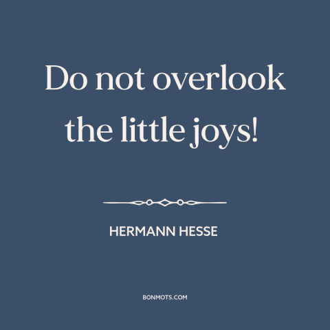 A quote by Hermann Hesse about the little things: “Do not overlook the little joys!”