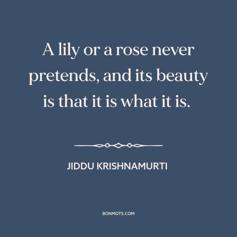 A quote by Jiddu Krishnamurti about lilies: “A lily or a rose never pretends, and its beauty is that it is what…”