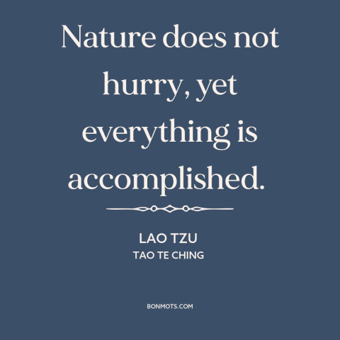 A quote by Lao Tzu about patience: “Nature does not hurry, yet everything is accomplished.”