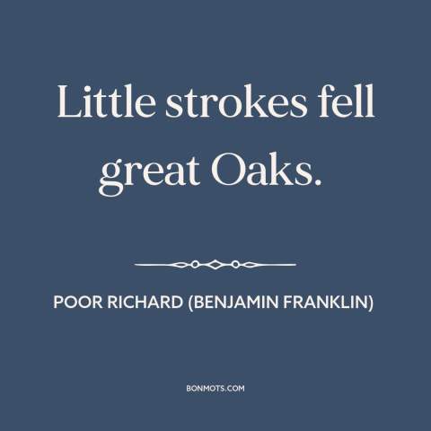 A quote from Poor Richard's Almanack about butterfly effect: “Little strokes fell great Oaks.”