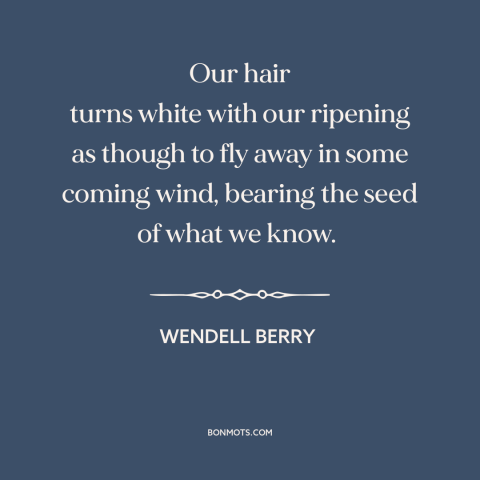 A quote by Wendell Berry about aging: “Our hair turns white with our ripening as though to fly away in some…”