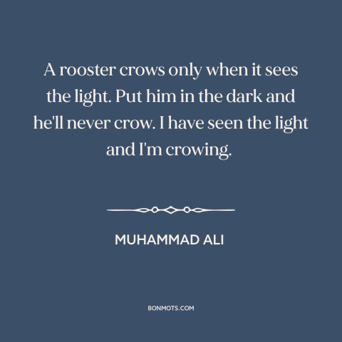 A quote by Muhammad Ali about ignorance: “A rooster crows only when it sees the light. Put him in the dark and…”