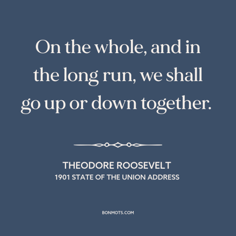 A quote by Theodore Roosevelt about interconnectedness of all people: “On the whole, and in the long run, we shall go up or…”
