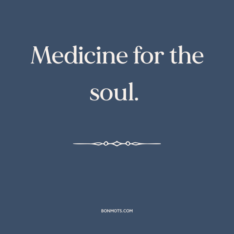 A quote about libraries: “Medicine for the soul.”