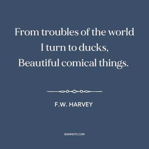 A quote by F.W. Harvey about ducks: “From troubles of the world I turn to ducks, Beautiful comical things.”