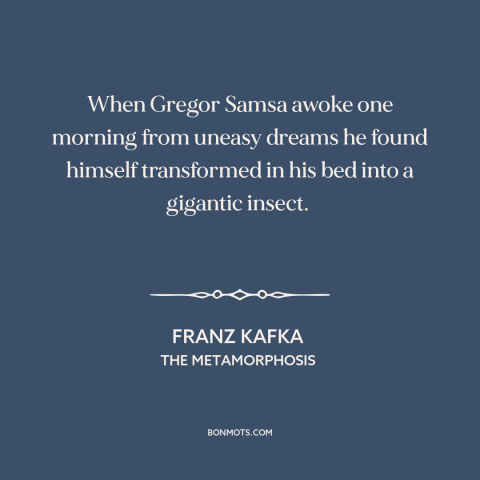 A quote by Franz Kafka about transformation: “When Gregor Samsa awoke one morning from uneasy dreams he found…”