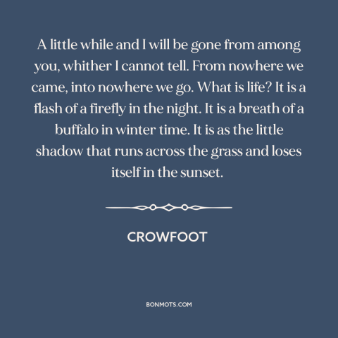 A quote by Crowfoot about nature of life: “A little while and I will be gone from among you, whither I cannot…”