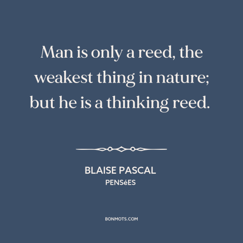 A quote by Blaise Pascal about man and nature: “Man is only a reed, the weakest thing in nature; but he is a…”