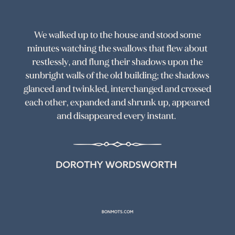 A quote by Dorothy Wordsworth about birds: “We walked up to the house and stood some minutes watching the swallows that…”