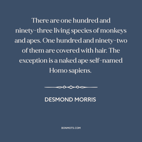 A quote by Desmond Morris about primates: “There are one hundred and ninety-three living species of monkeys and apes.”