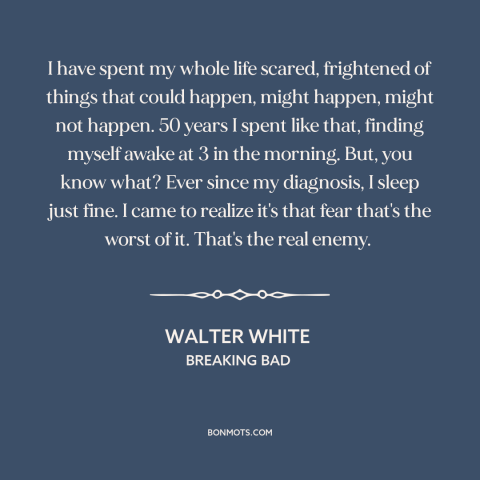 A quote from Breaking Bad about living in fear: “I have spent my whole life scared, frightened of things that…”