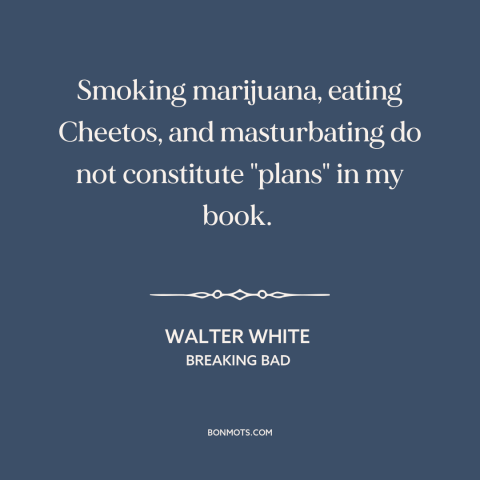 A quote from Breaking Bad about ambition: “Smoking marijuana, eating Cheetos, and masturbating do not constitute "plans" in…”