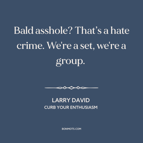 A quote from Curb Your Enthusiasm about baldness: “Bald asshole? That’s a hate crime. We're a set, we're a group.”