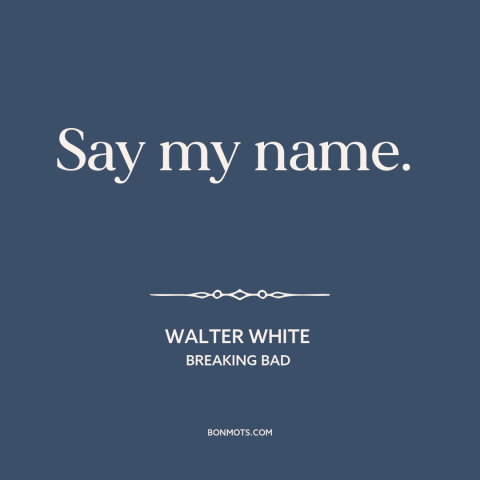 A quote from Breaking Bad about names: “Say my name.”