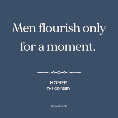 A quote by Homer about ephemeral nature of life: “Men flourish only for a moment.”