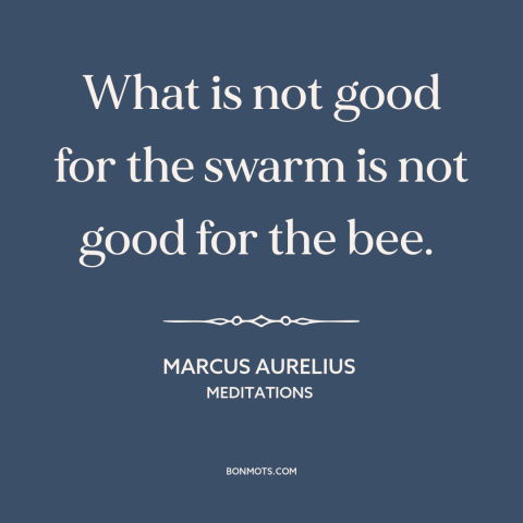 A quote by Marcus Aurelius about individual vs. the collective: “What is not good for the swarm is not good for the bee.”