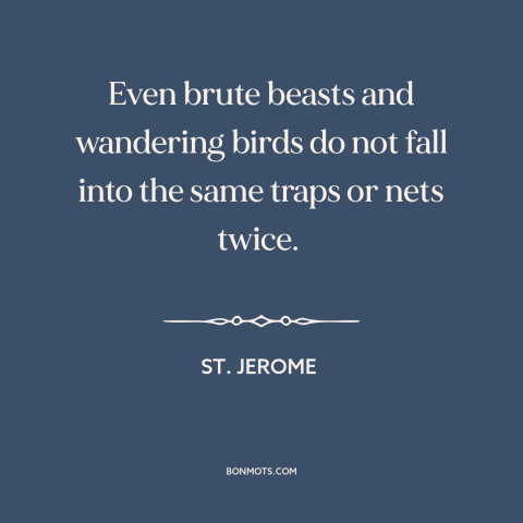 A quote by St. Jerome about learning from mistakes: “Even brute beasts and wandering birds do not fall into the same traps…”