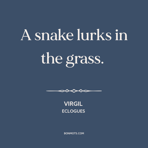 A quote by Virgil about danger: “A snake lurks in the grass.”