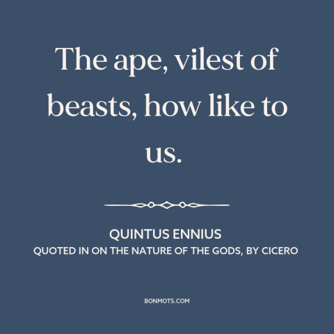 A quote by Quintus Ennius about apes: “The ape, vilest of beasts, how like to us.”