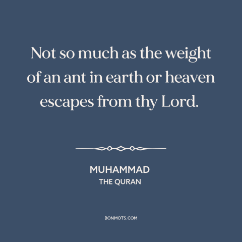 A quote by Muhammad about god's omniscience: “Not so much as the weight of an ant in earth or heaven escapes…”