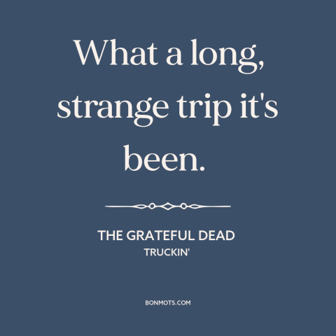 A quote by The Grateful Dead about drugs: “What a long, strange trip it's been.”