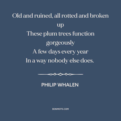 A quote by Philip Whalen about trees: “Old and ruined, all rotted and broken up These plum trees function gorgeously A…”