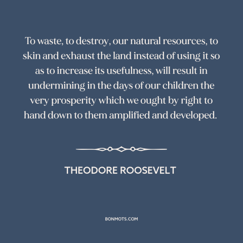 A quote by Theodore Roosevelt about environmental destruction: “To waste, to destroy, our natural resources, to skin…”