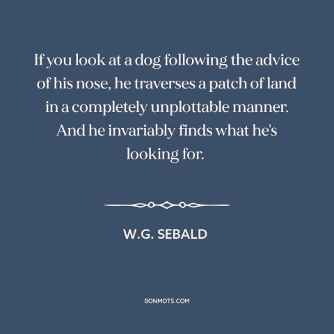 A quote by W.G. Sebald about dogs: “If you look at a dog following the advice of his nose, he traverses a patch…”