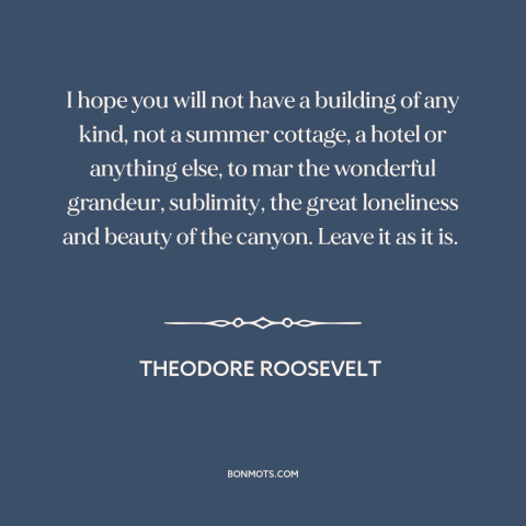 A quote by Theodore Roosevelt about conservation: “I hope you will not have a building of any kind, not a summer…”