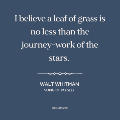 A quote by Walt Whitman about grass: “I believe a leaf of grass is no less than the journey-work of the stars.”