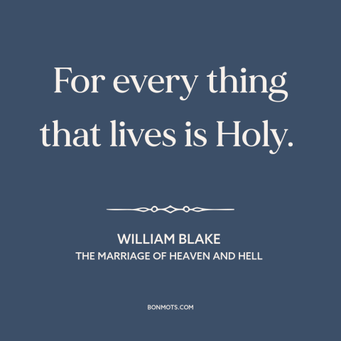 A quote by William Blake about the sacred: “For every thing that lives is Holy.”