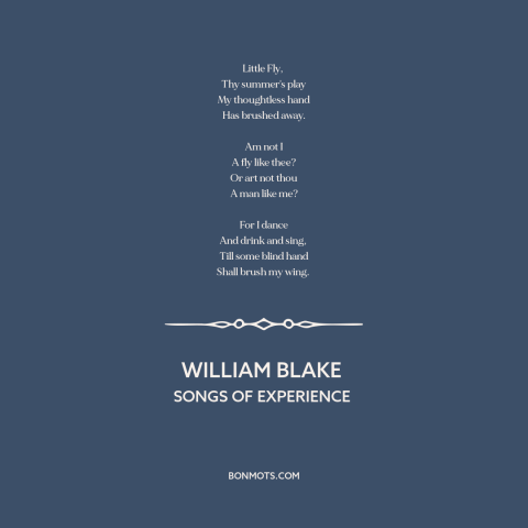 A quote by William Blake about man and animals: “Little Fly, Thy summer's play My thoughtless hand Has brushed away. Am…”