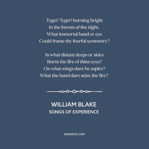 A quote by William Blake about charismatic megafauna: “Tyger! Tyger! burning bright In the forests of the night…”