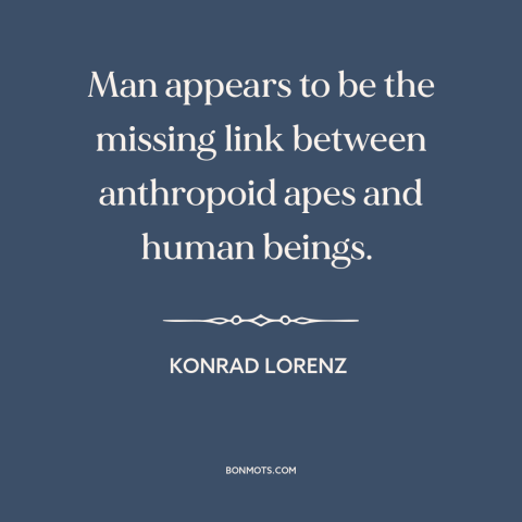 A quote by Konrad Lorenz about man and animals: “Man appears to be the missing link between anthropoid apes and human…”