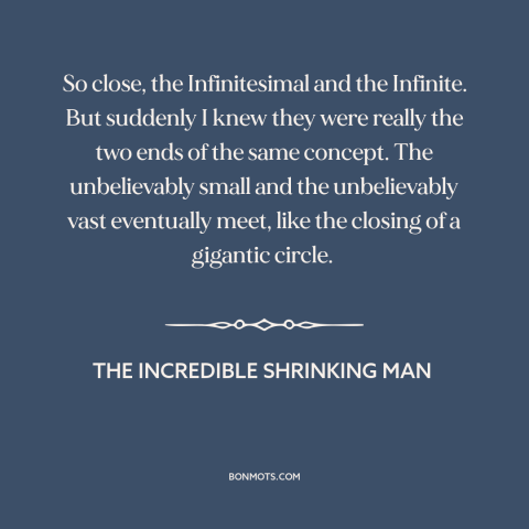 A quote from The Incredible Shrinking Man about the infinite: “So close, the Infinitesimal and the Infinite. But suddenly I…”