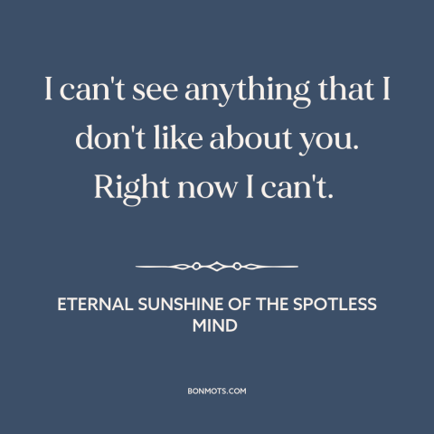 A quote from Eternal Sunshine of the Spotless Mind about infatuation: “I can't see anything that I don't like about you.”