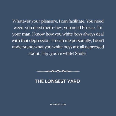 A quote from The Longest Yard about white privilege: “Whatever your pleasure, I can facilitate. You need weed, you…”