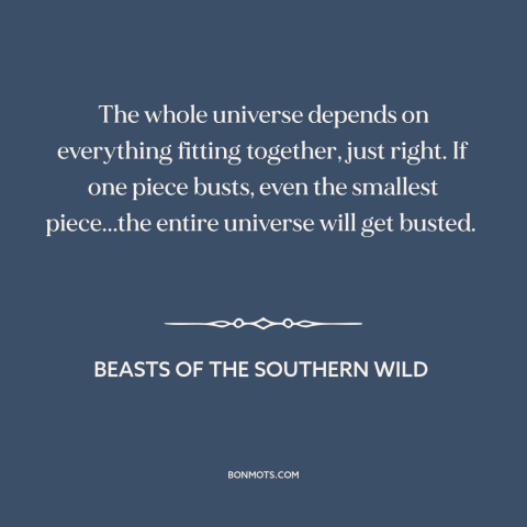 A quote from Beasts of the Southern Wild about nature of the universe: “The whole universe depends on everything fitting…”