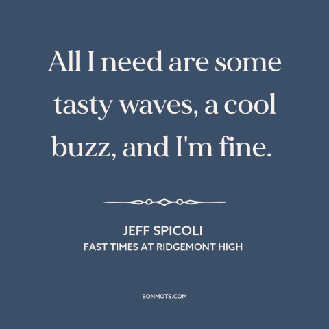 A quote from Fast Times at Ridgemont High about surfing: “All I need are some tasty waves, a cool buzz, and I'm fine.”