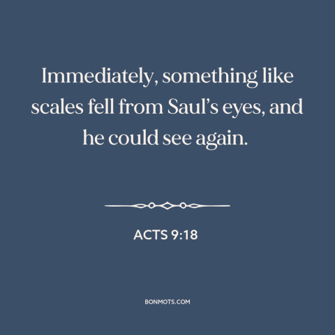 A quote from The Bible about new perspective: “Immediately, something like scales fell from Saul’s eyes, and he could see…”