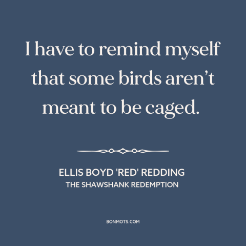 A quote from The Shawshank Redemption about confinement: “I have to remind myself that some birds aren’t meant to be caged.”