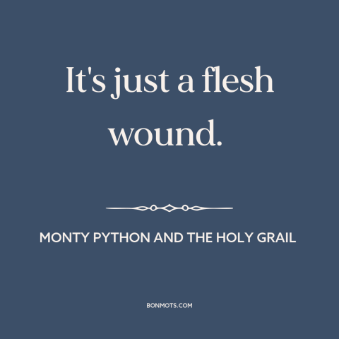 A quote from Monty Python and the Holy Grail about delusion: “It's just a flesh wound.”