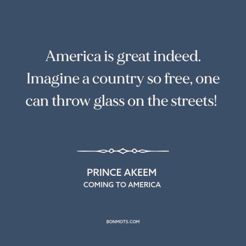 A quote from Coming to America about American freedom: “America is great indeed. Imagine a country so free, one can…”